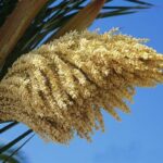 النظافة بالمبيت دار بوعزة