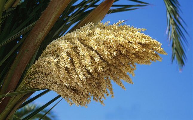النظافة بالمبيت دار بوعزة
