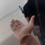 أبحث عن شقة لكراء فكازا