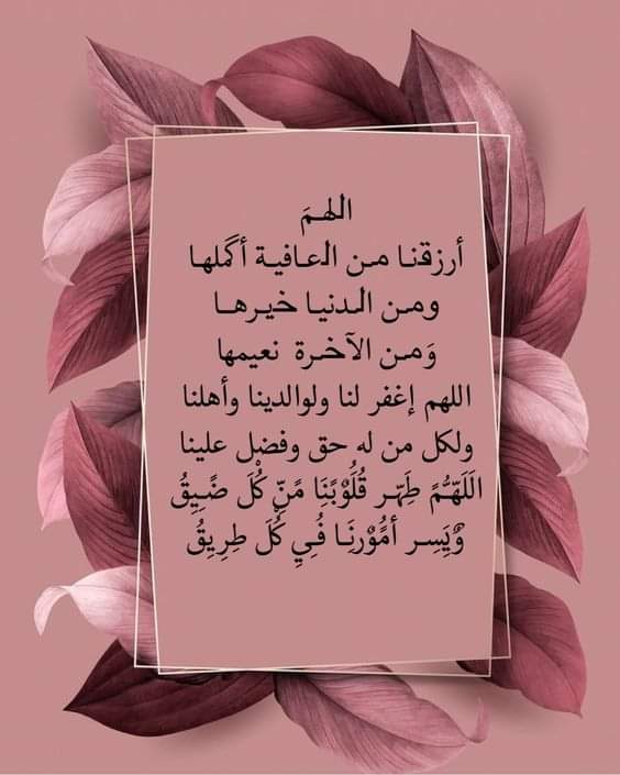 بحث عن عمل